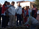 Los nios de Mora plantan el Jardn Olearum. P. L