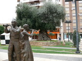 Cultura y olivo en  Castelln. Foto: I. Garca.