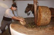 Un hombre va echando aceitunas al trull 