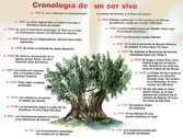 Cronologa de un ser vivo