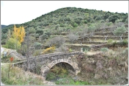 Olivos y puente junto al Molino. Mano Bogaz.