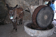 Molino de sangre de Farrapas en Bendill