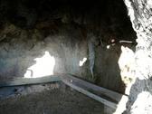 Interior del olivo de Gorga. Foto: AlonsoEco