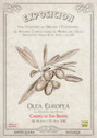 Cartel anunciador de OLEA EUROPEA. A. Campos
