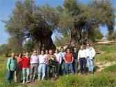 Personas asistentes junto al monumental olivo