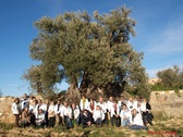 Olearum visita la OLivera de Nadal en Colungo