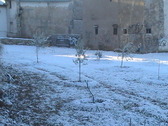 Nieve en el Jardn OLEARUM. Segorbe. Foto: Calpe