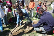 Plantando un olivo del Jardin Olearum. Foto: P.L