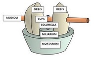 Partes del trapetum