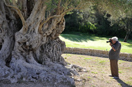 Olivera Na Capitana. Foto: Guillermo Orell