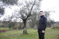 Fco Javier Mateo, olivar del paraje 