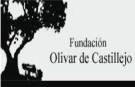 Fndacin Oliva de Castillejo