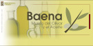 MUSEO DEL OLIVAR Y EL ACEITE DE BAENA