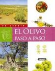 El olivo, paso a paso