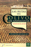 Las Rutas Del Olivo En Andalucia : Masaru En El Olivar II